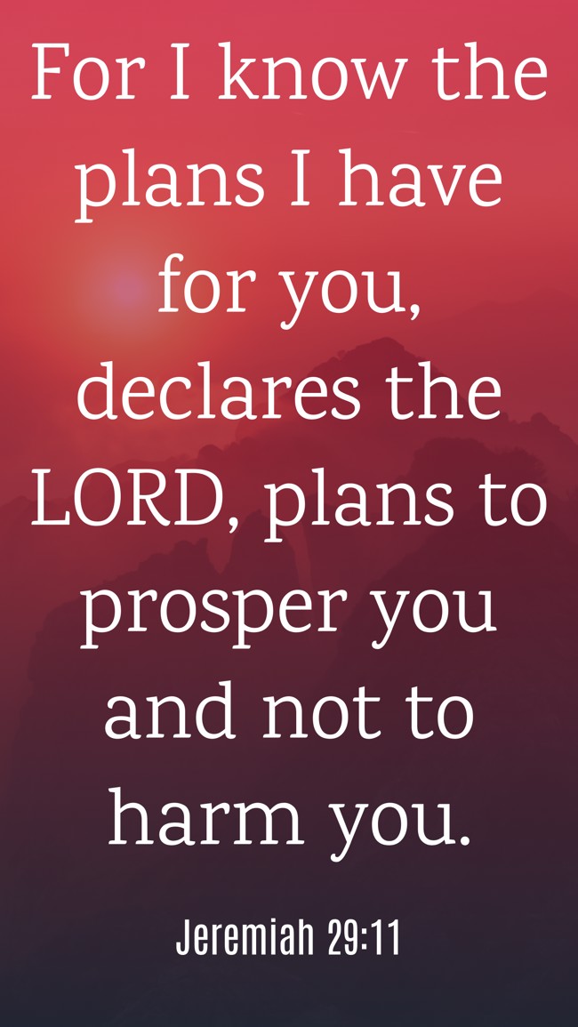 For I know the plans I have for you, declares the LORD, plans to prosper you and not to harm you. - Jeremiah 29:11