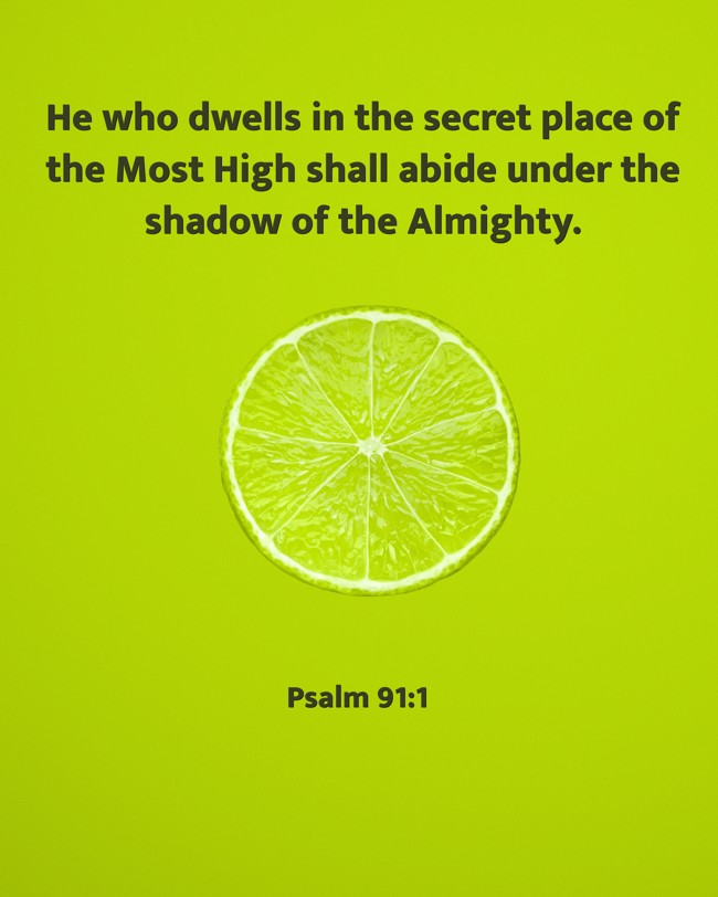 He who dwells in the secret place of the Most High shall abide under the shadow of the Almighty. - Psalm 91:1
