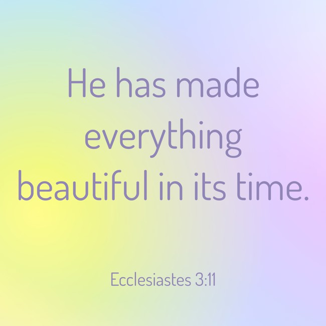He has made everything beautiful in its time. - Ecclesiastes 3:11