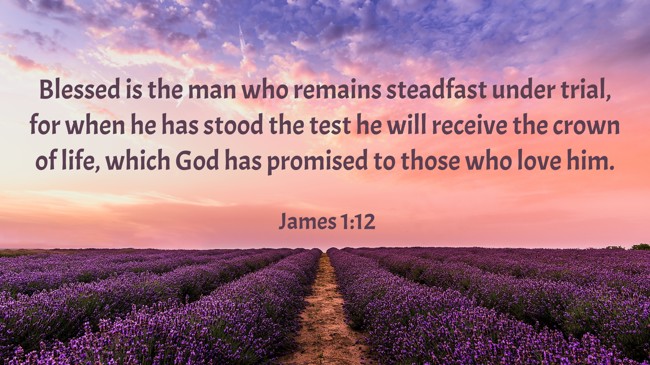 Blessed is the man who remains steadfast under trial, for when he has stood the test he will receive the crown of life, which God has promised to those who love him. - James 1:12
