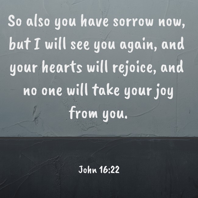 So also you have sorrow now, but I will see you again, and your hearts will rejoice, and no one will take your joy from you. - John 16:22