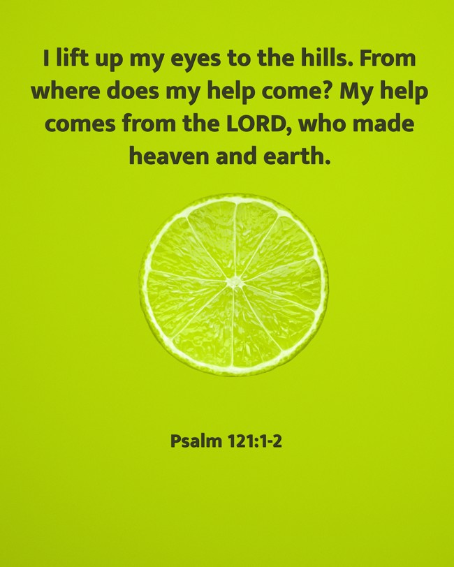 I lift up my eyes to the hills. From where does my help come? My help comes from the LORD, who made heaven and earth. - Psalm 121:1-2