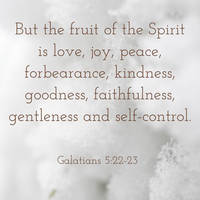 But the fruit of the Spirit is love, joy, peace, forbearance, kindness, goodness, faithfulness, gentleness and self-control. - Galatians 5:22-23