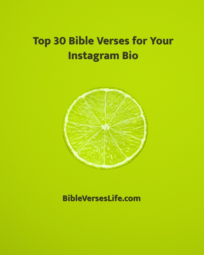Top 30 Bible Verses for Your Instagram Bio