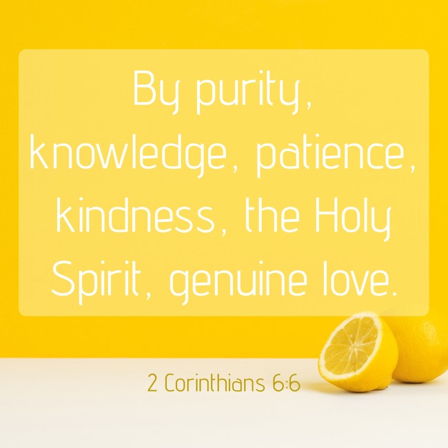 By purity, knowledge, patience, kindness, the Holy Spirit, genuine love. - 2 Corinthians 6:6
