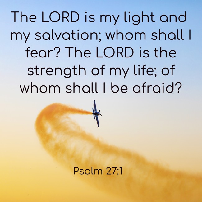 The LORD is my light and my salvation; whom shall I fear? The LORD is the strength of my life; of whom shall I be afraid? - Psalm 27:1