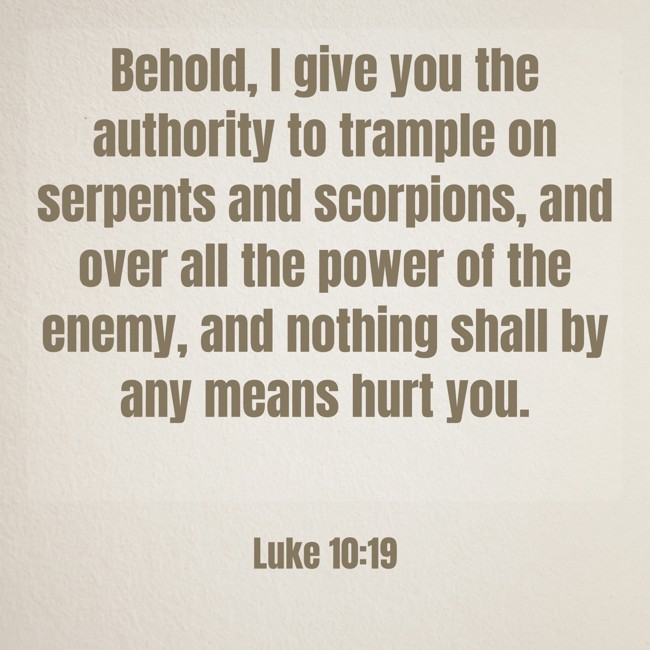 Behold, I give you the authority to trample on serpents and scorpions, and over all the power of the enemy, and nothing shall by any means hurt you. - Luke 10:19