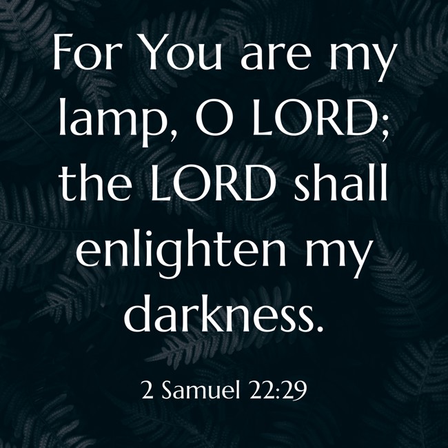For You are my lamp, O LORD; the LORD shall enlighten my darkness. - 2 Samuel 22:29