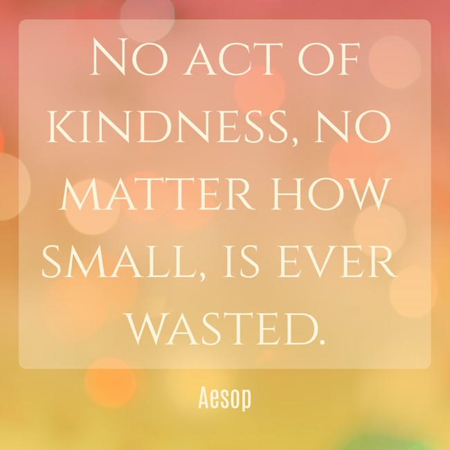 No act of kindness, no matter how small, is ever wasted. - Aesop