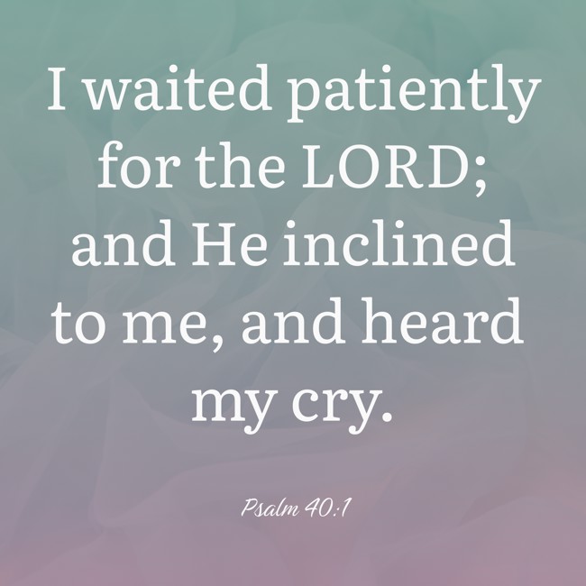 I waited patiently for the LORD; and He inclined to me, and heard my cry. - Psalm 40:1