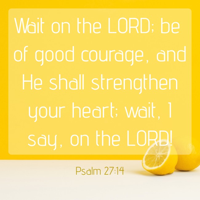 Wait on the LORD; be of good courage, and He shall strengthen your heart; wait, I say, on the LORD! - Psalm 27:14