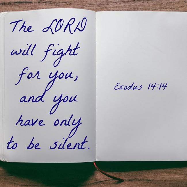 The LORD will fight for you, and you have only to be silent. - Exodus 14:14