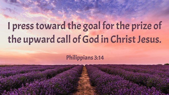 I press toward the goal for the prize of the upward call of God in Christ Jesus. - Philippians 3:14