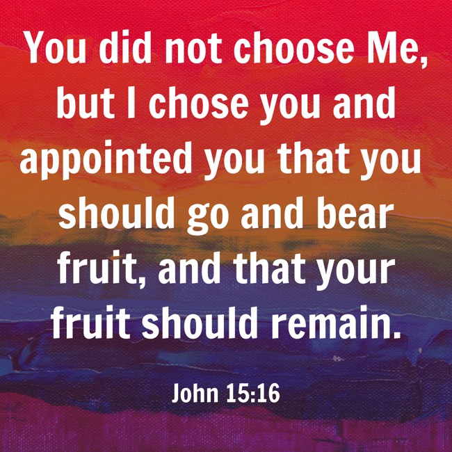 You did not choose Me, but I chose you and appointed you that you should go and bear fruit, and that your fruit should remain. - John 15:16