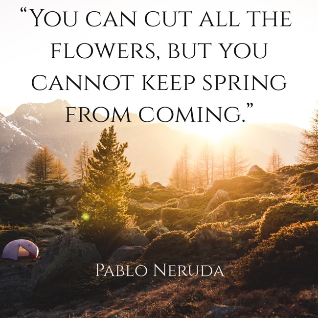“You can cut all the flowers, but you cannot keep spring from coming.” - Pablo Neruda