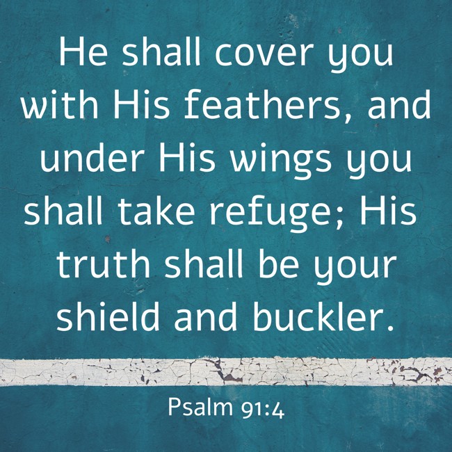 He shall cover you with His feathers, and under His wings you shall take refuge; His truth shall be your shield and buckler. - Psalm 91:4