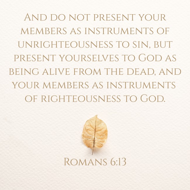 And do not present your members as instruments of unrighteousness to sin, but present yourselves to God as being alive from the dead, and your members as instruments of righteousness to God. - Romans 6:13