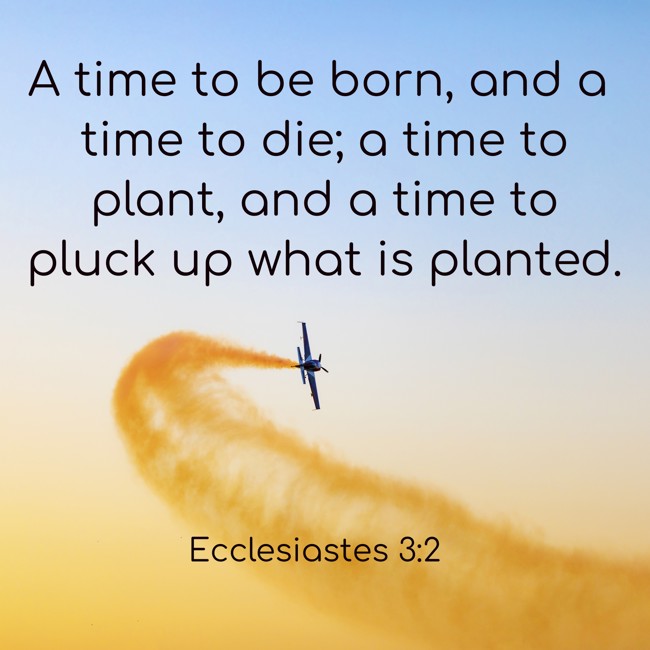 A time to be born, and a time to die; a time to plant, and a time to pluck up what is planted. - Ecclesiastes 3:2
