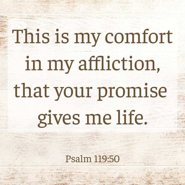 This is my comfort in my affliction, that your promise gives me life. - Psalm 119:50