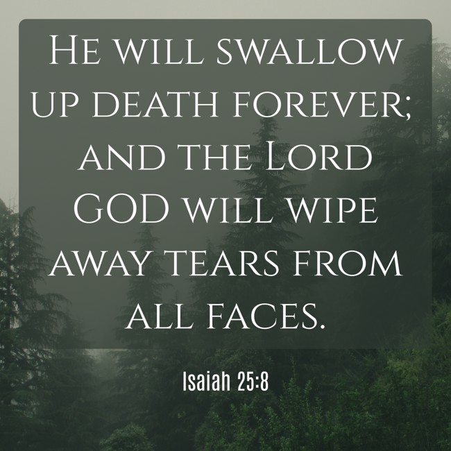 He will swallow up death forever; and the Lord GOD will wipe away tears from all faces. - Isaiah 25:8
