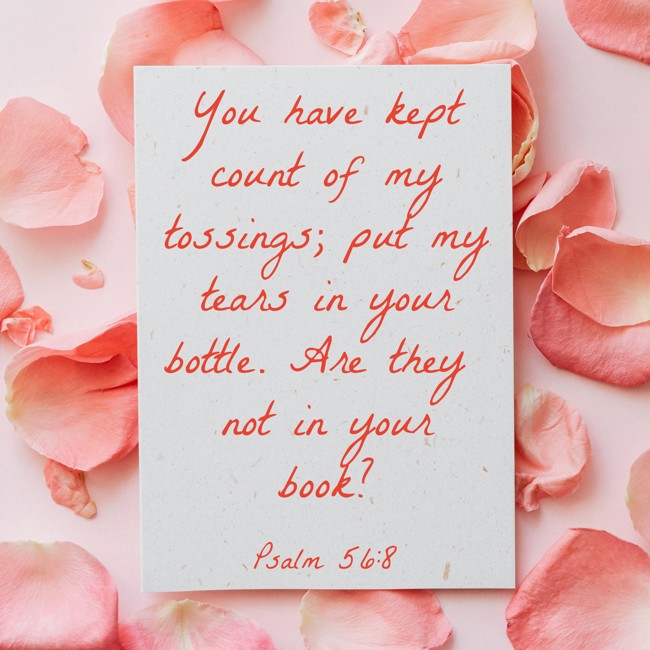You have kept count of my tossings; put my tears in your bottle. Are they not in your book? - Psalm 56:8