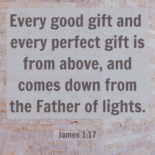 Every good gift and every perfect gift is from above, and comes down from the Father of lights. - James 1:17