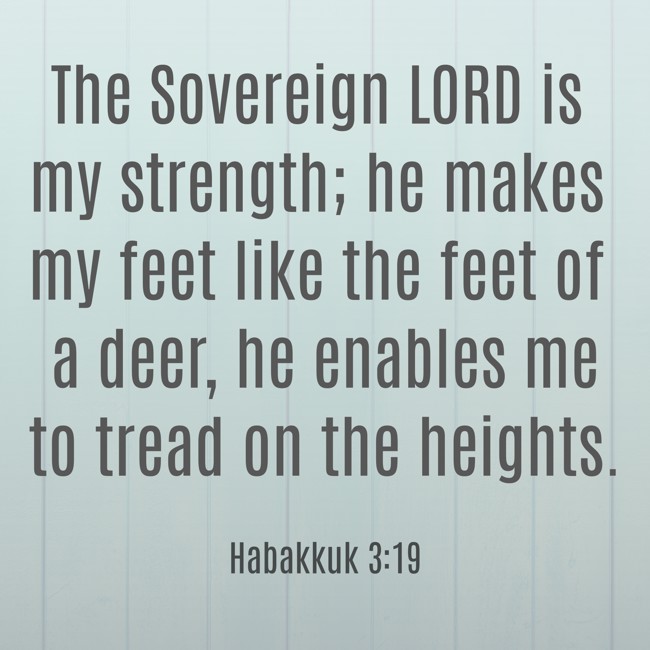 The Sovereign LORD is my strength; he makes my feet like the feet of a deer, he enables me to tread on the heights. - Habakkuk 3:19