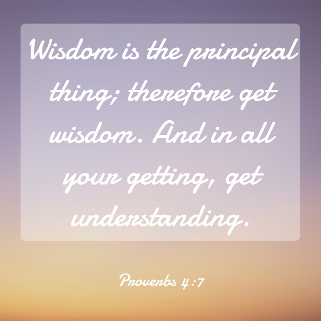 Wisdom is the principal thing; therefore get wisdom. And in all your getting, get understanding. - Proverbs 4:7