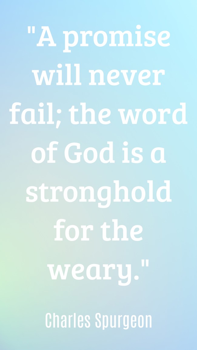 A promise will never fail; the word of God is a stronghold for the weary. - Charles Spurgeon