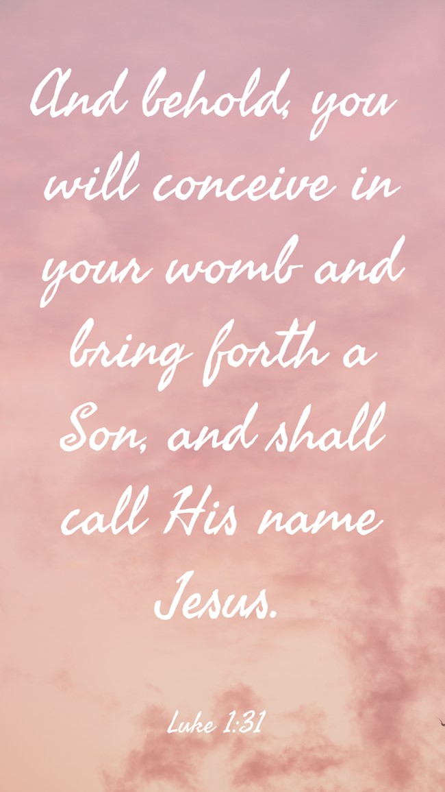And behold, you will conceive in your womb and bring forth a Son, and shall call His name Jesus. - Luke 1:31