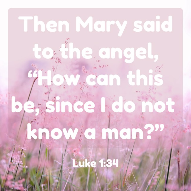 Then Mary said to the angel, “How can this be, since I do not know a man?” - Luke 1:34