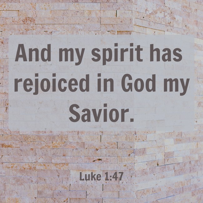 And my spirit has rejoiced in God my Savior. - Luke 1:47