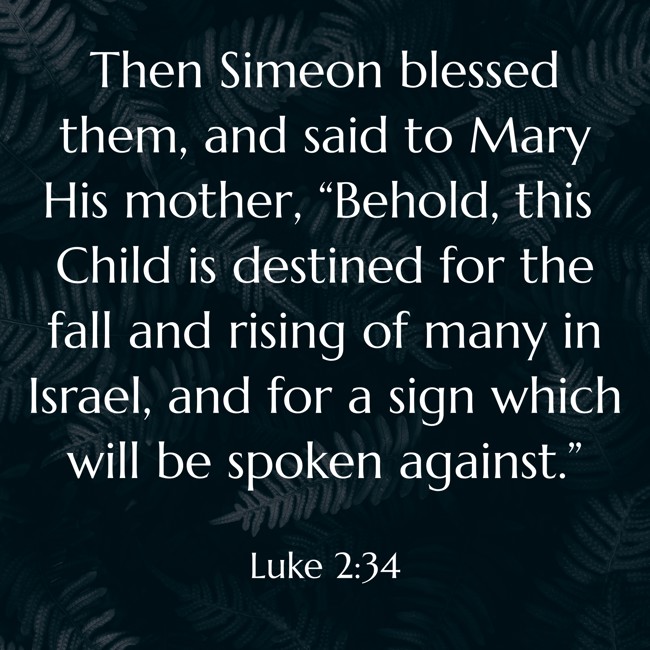 Then Simeon blessed them, and said to Mary His mother, “Behold, this Child is destined for the fall and rising of many in Israel, and for a sign which will be spoken against.” - Luke 2:34