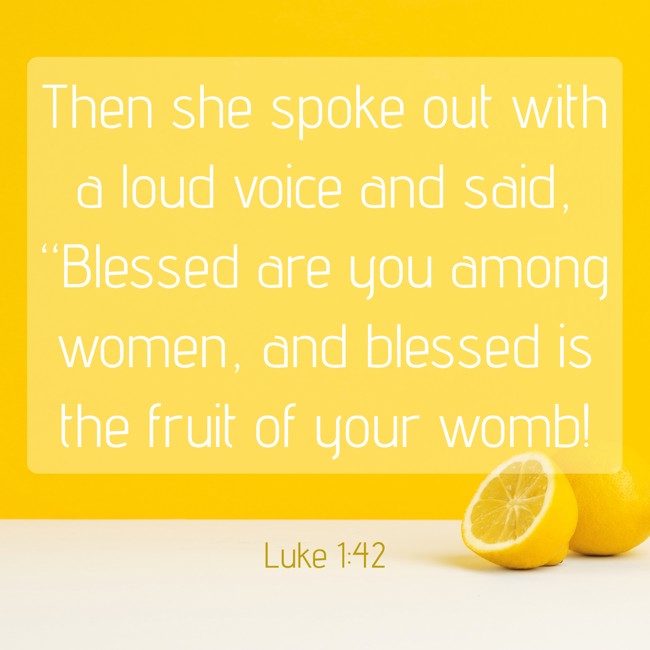Then she spoke out with a loud voice and said, “Blessed are you among women, and blessed is the fruit of your womb! - Luke 1:42