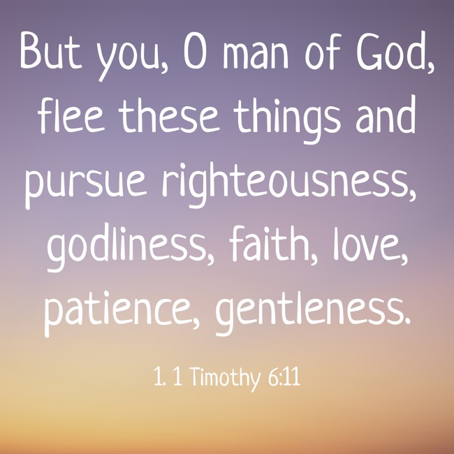 But you, O man of God, flee these things and pursue righteousness, godliness, faith, love, patience, gentleness. - 1. 1 Timothy 6:11