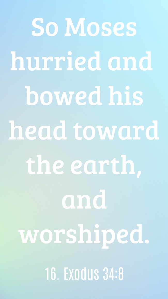 So Moses hurried and bowed his head toward the earth, and worshiped.
- 16. Exodus 34:8
