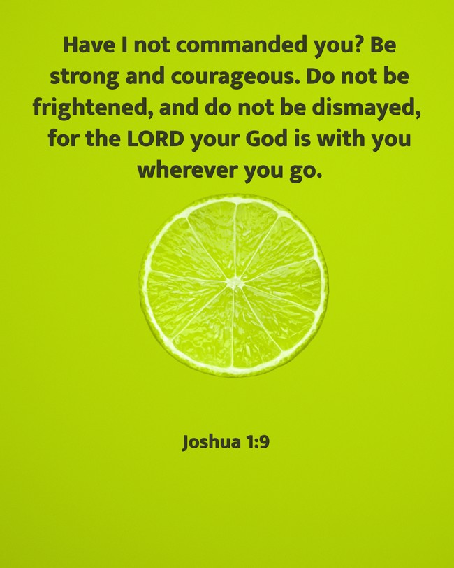  Have I not commanded you? Be strong and courageous. Do not be frightened, and do not be dismayed, for the LORD your God is with you wherever you go.   - Joshua 1:9 
