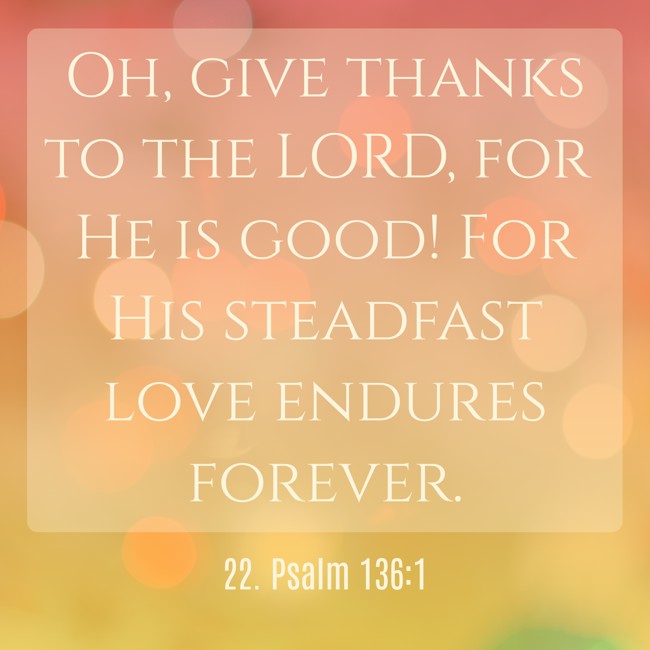 Oh, give thanks to the LORD, for He is good! For His steadfast love endures forever.
- 22. Psalm 136:1
