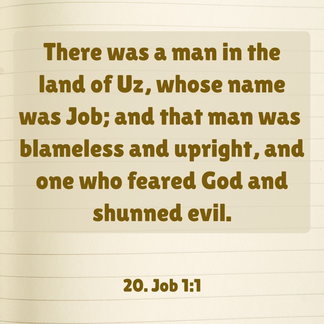 There was a man in the land of Uz, whose name was Job; and that man was blameless and upright, and one who feared God and shunned evil. - 20. Job 1:1
