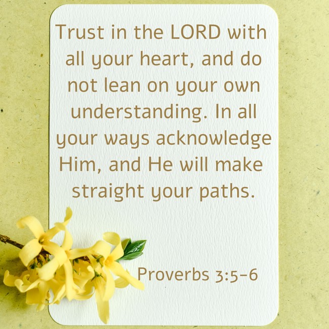  Trust in the LORD with all your heart, and do not lean on your own understanding. In all your ways acknowledge Him, and He will make straight your paths.   - Proverbs 3:5-6 