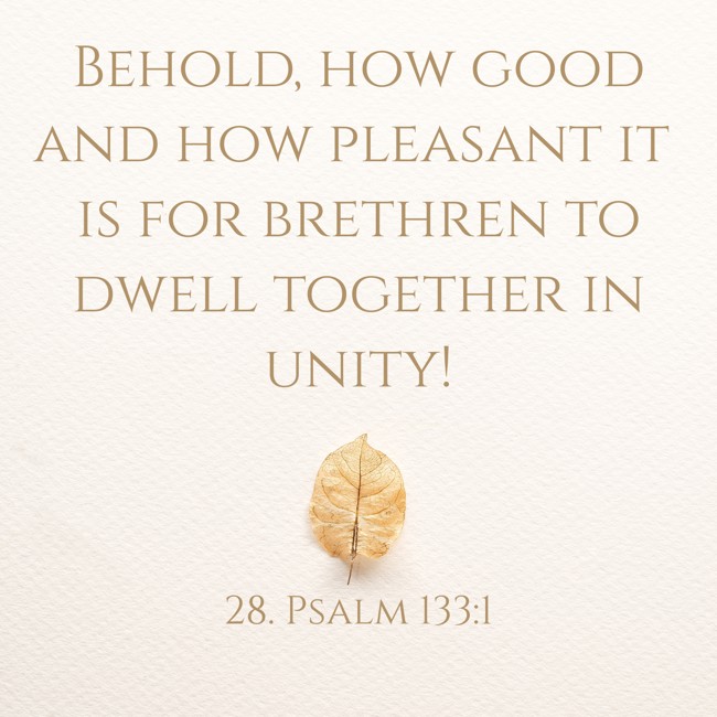 Behold, how good and how pleasant it is for brethren to dwell together in unity! - 28. Psalm 133:1