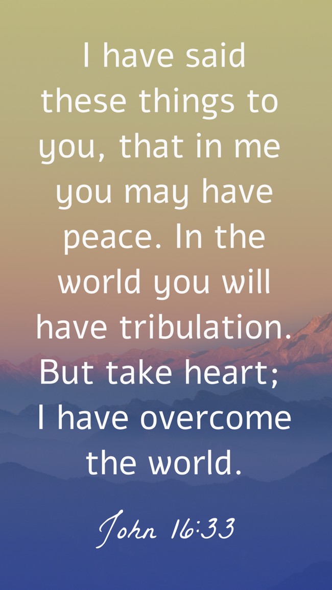  I have said these things to you, that in me you may have peace. In the world you will have tribulation. But take heart; I have overcome the world.   - John 16:33 