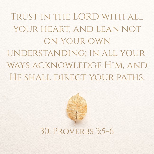 Trust in the LORD with all your heart, and lean not on your own understanding; in all your ways acknowledge Him, and He shall direct your paths. - 30. Proverbs 3:5-6