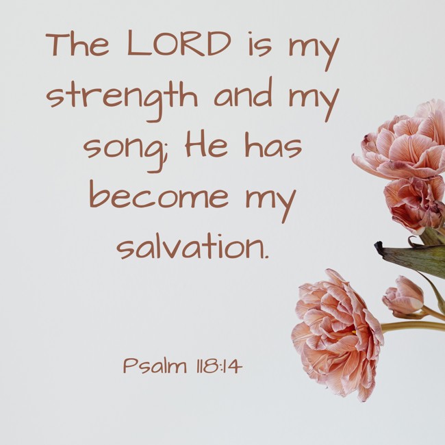  The LORD is my strength and my song; He has become my salvation.   - Psalm 118:14 