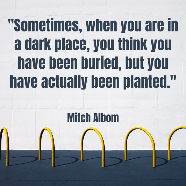 Sometimes, when you are in a dark place, you think you have been buried, but you have actually been planted. - Mitch Albom