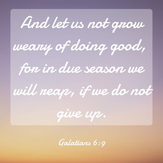  And let us not grow weary of doing good, for in due season we will reap, if we do not give up.   - Galatians 6:9 