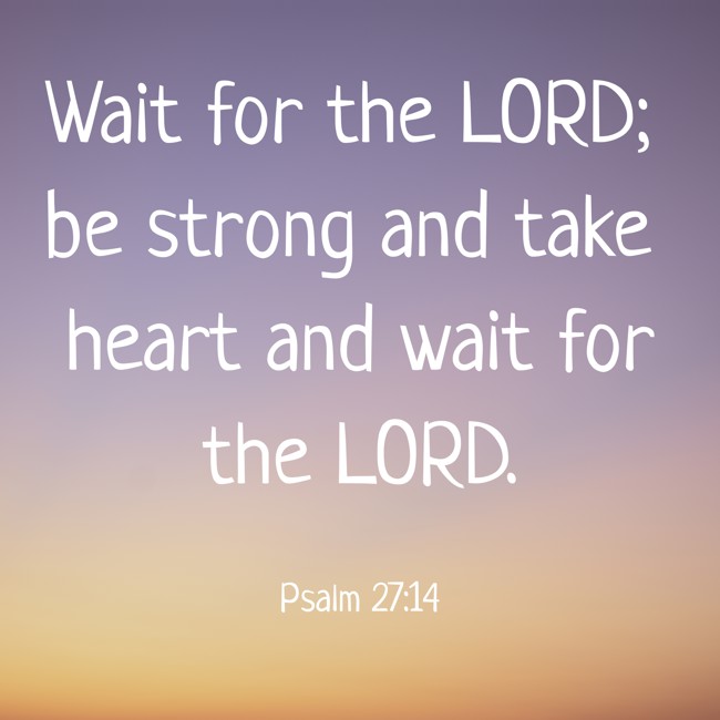Wait for the LORD; be strong and take heart and wait for the LORD. - Psalm 27:14