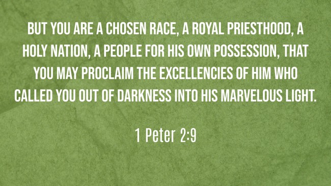 But you are a chosen race, a royal priesthood, a holy nation, a people for his own possession, that you may proclaim the excellencies of him who called you out of darkness into his marvelous light. - 1 Peter 2:9