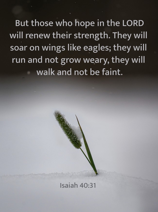 But those who hope in the LORD will renew their strength. They will soar on wings like eagles; they will run and not grow weary, they will walk and not be faint. - Isaiah 40:31
