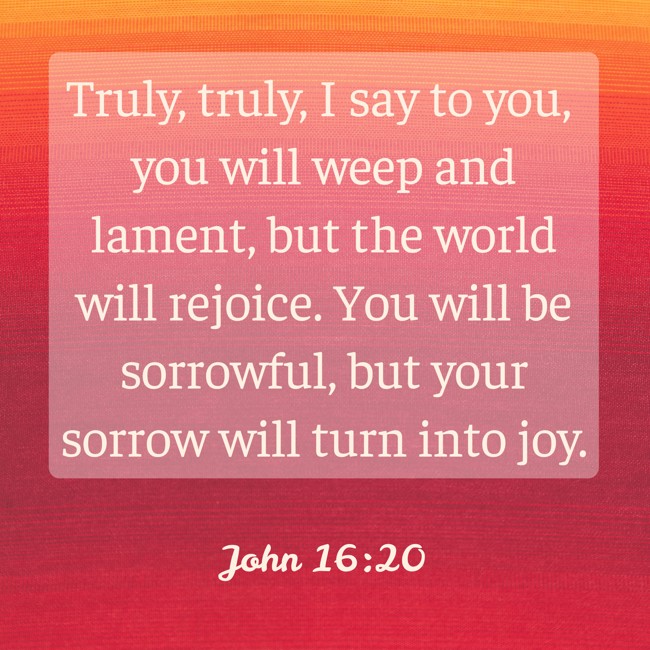 Truly, truly, I say to you, you will weep and lament, but the world will rejoice. You will be sorrowful, but your sorrow will turn into joy. - John 16:20